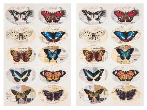 20 Sticker vintage Butterfly Schmetterlinge