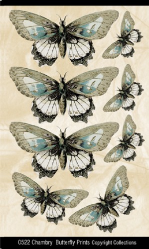 Chambry Butterfly Prints Schmetterlinge
