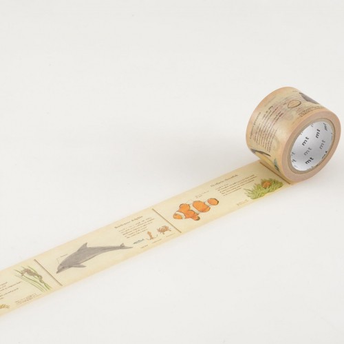 Masking Tape encyclopedia marine creatures Meerestiere