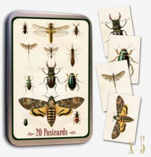 Vintage Postcards Insekten 20 Stk