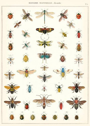 Geschenkpapier History Insects / Insekten